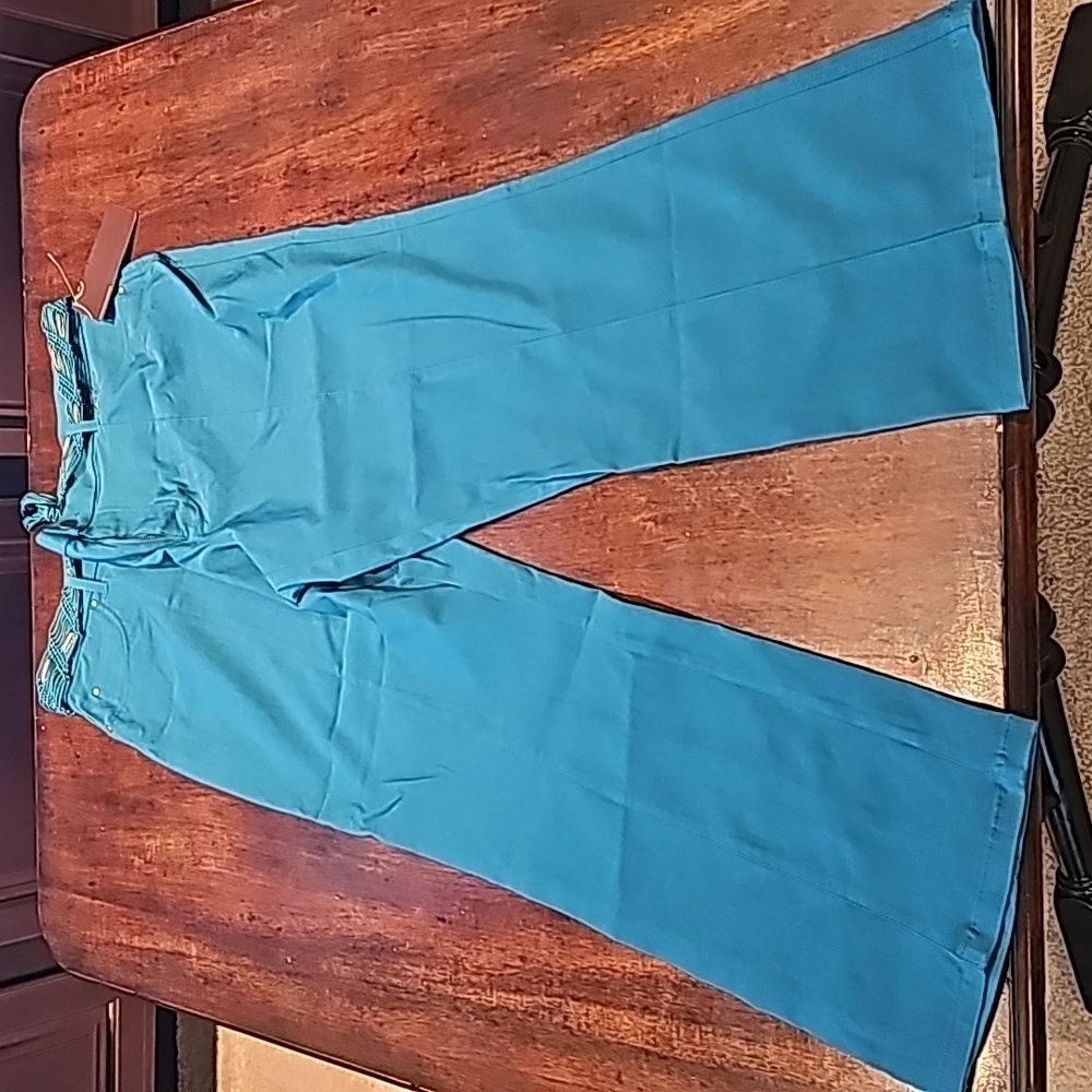 🆕️NWT‎ Multiples Size 12 Slimming teal pants and belt.